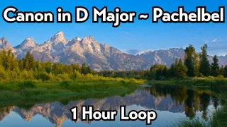 Canon in D Major - Pachelbel | 1 Hour Loop