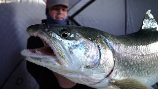 Guiding for Winter Lake Trout  #dayinthelife #laketrout #icefishing #career #howto