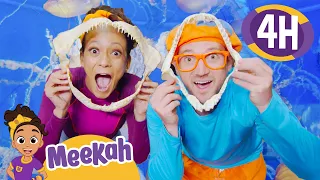 Blippi and Meekah Visit The Aquarium of Pacific! | 4 HOURS OF MEEKAH! | Educational Videos