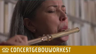Principal flute Emily Beynon | Concertgebouworkest