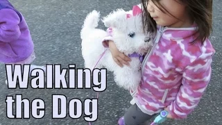 Walking the Dog! - March 17, 2016 -  ItsJudysLife Vlogs