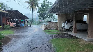 Walking In Heavy Rain and Thunder on a Beautiful Afternoon | Rain and Thunder Sounds for Sound Sleep