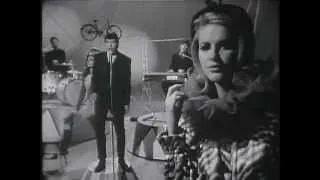 The Animals - Bring It On Home To Me (Live, 1965) UPGRADE ♫♥