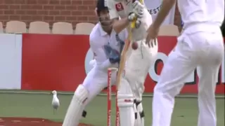 Pietersen bowls Clarke, Adelaide Oval 2010