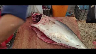 8KG/$80 Big Tuna Fish Cutting Skills/Bluefin Tuna Fish Cutting/Giant Bluefin Tuna Fish Cutting