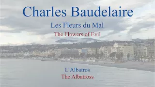 French Poem - L'Albatros by Charles Baudelaire -  Slow Reading