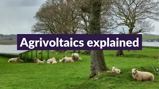 Agrivoltaics explained