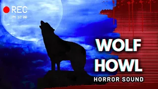 Wolf Howl - Free Horror Sound [High Quality]