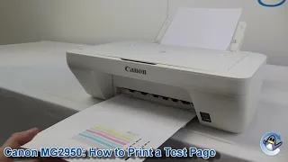 Canon Pixma MG2950: How to Print a Nozzle Check Test Page