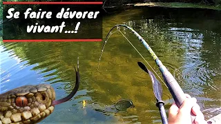 UN SERPENT DÉVORE CET ANIMAL VIVANT DEVANT MOI ! SILURE A VUE ET BROCHETS AU LEURRE