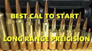 Best caliber to start/learn long range/precision rifle shooting?