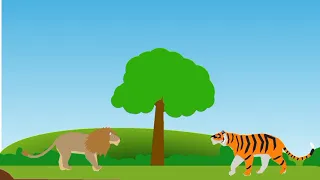 Lion VS Tiger | StickNodes Animation