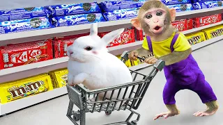 Baby Monkey KiKi Takes a RABBIT to go shopping at the supermarket | KUDO ANIMAL