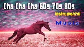 Cha Cha Cha Medley 60s 70s 80s - Beautiful Dancing Music - Relaxing Music