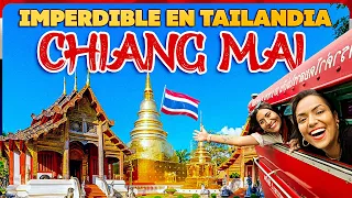 ¡Lo mejor de Tailandia está en Chiang Mai! Guía Completa 🤑
