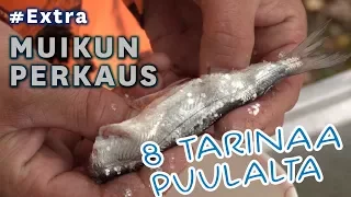 Muikun perkaus ruodottomaksi