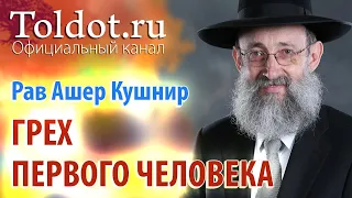 Рав Ашер Кушнир. Грех Первого Человека. ДЕРЕХ АШЕМ 14