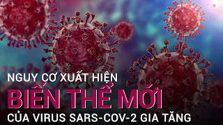 WHO: Nếu không ngăn chặn kịp thời, virus sẽ biến hóa nguy hiểm hơn | VTC Now