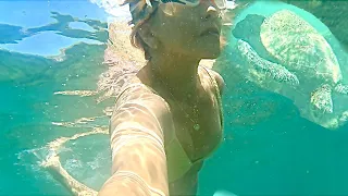 Swimming with Honu (Hawaiian Green Sea Turtles) at Kapalua Bay 🌊 Maui HAWAII #hawaiivlog #goprohero9