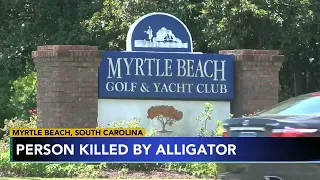 An alligator killed a person near Myrtle Beach in South Carolina