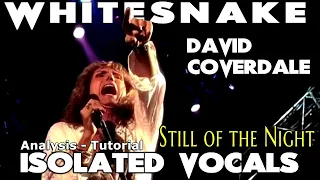 Whitesnake - Still Of The Night - David Coverdale - Isolated Vocals - Analysis and Tutorial