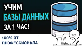 Учим Базы Данных за 1 час! #От Профессионала