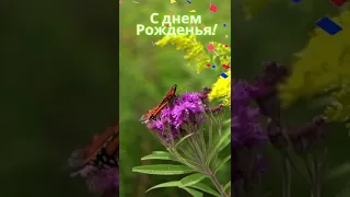 Поздравляю с днем рожденья...бабочка в видео