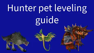 SOD: How to level up your pets fast in Season of Discovery