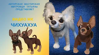 Мастер-класс Чихуахуа крючком (видео мк)-1 часть #1