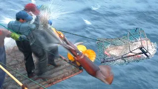 AWESOME Fisherman Catch Many Squid with Traps - Amazing Traditional Big Squid Fishing Skill