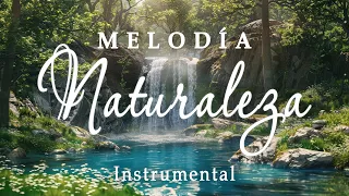 Melodía Naturaleza | Música de Piano de Dios para una Vida Significativa y Majestuosa