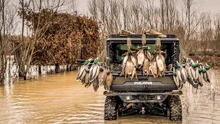 DUCK HUNTING FLOODED WILLOWS IN ARKANSAS!! Mallards, Gadwall, Wigeon, & Teal from Epic Duck Blind!