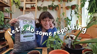 Repotting a bunch of houseplants for spring!!!