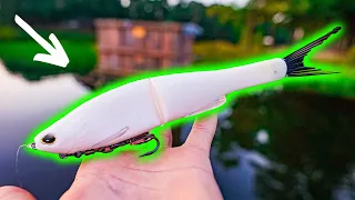 REVENGE Fishing the NESSIE GLIDE!! Multiple fish day (It works)