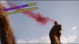 Король лев клип День и ночь это между нами.