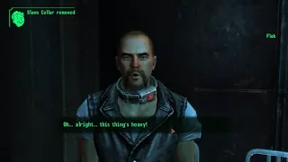 Fallout 3: Strictly Business (part 5 Flak)