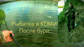 Рыбалка в КОМИ!  Рыбалка после бури и поднятие воды. Что получилось?