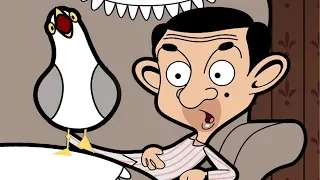 Bird & Bean | Funny Episodes | Mr Bean Cartoon World