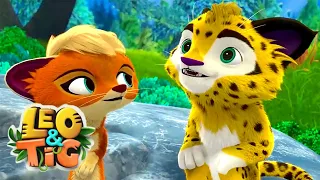 LEO and TIG 🦁 🐯 All epsodes in a row 1-15 ⭐ Cartoons collection 💚 Moolt Kids Toons Happy Bear