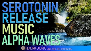 Serotonin Release Music With Alpha Waves | Heal Brain Nerve Cells | Reset Your Brain Frequency