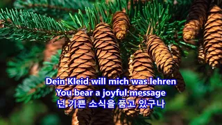 O Tannenbaum(O Christmas Tree) - Vienna Boys Choir: with Lyrics(German/Englsih/가사번역)