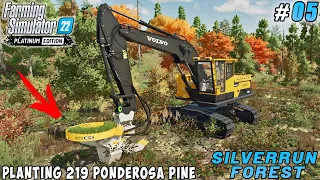 Cleaning felling area, planting 219 ponderosa pine | Silverrun Forest | Farming simulator 22 |  #05