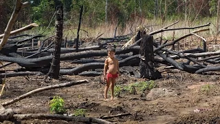 Zukunft Amazonas: Bedrohte Schöpfung - bedrohte Völker