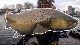 Using Livescope to Cast and Jig BIG Trout: Milwaukee, WI