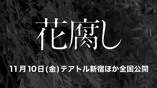 「花腐し」予告編（11月10日（金）全国公開）