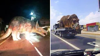 Они Выжили! 12 Динозавров Снятых на Камеру