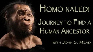 The Discovery of Homo naledi