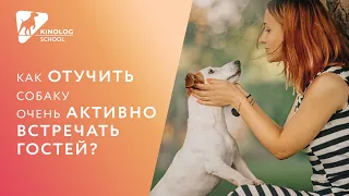 Как отучить собаку очень активно встречать гостей?