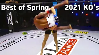 MMA's Best Knockouts of the Spring 2021 | HD