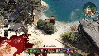 We Beat the Game - Divinity: Original Sin 2